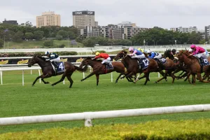 Randwick