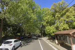 Woollahra Sydney