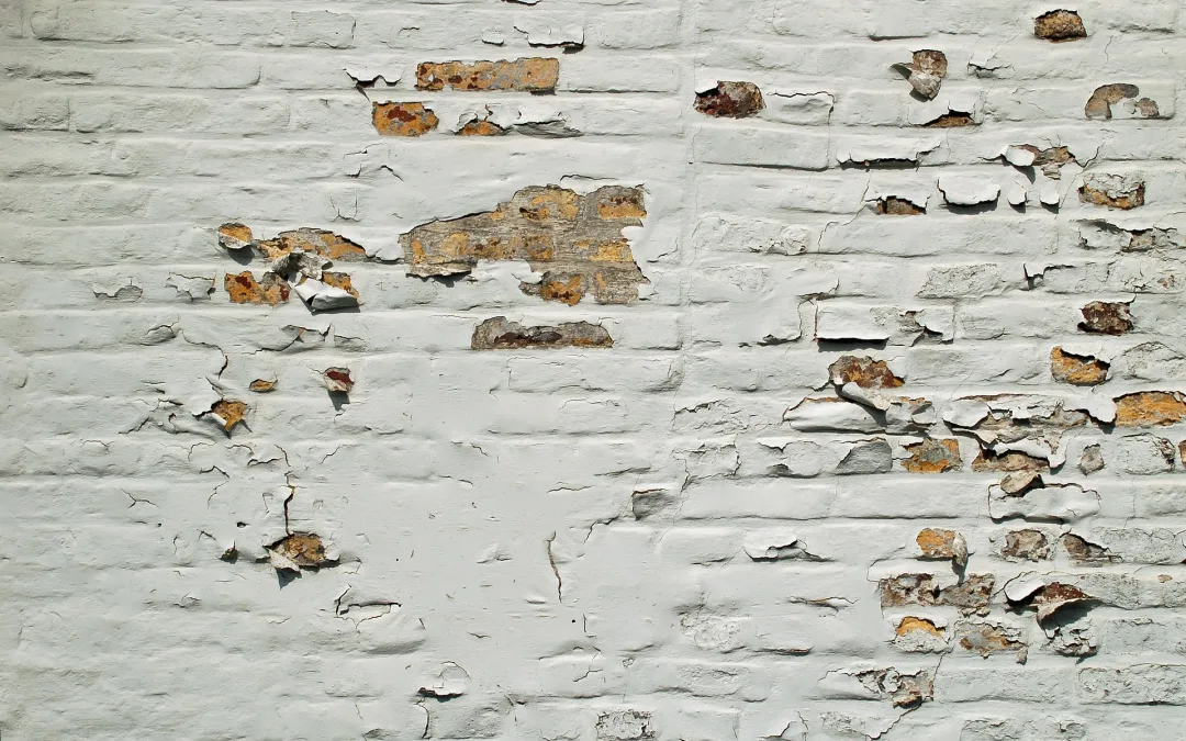 Why Your Interior Paint Is Peeling (And How to Fix It)