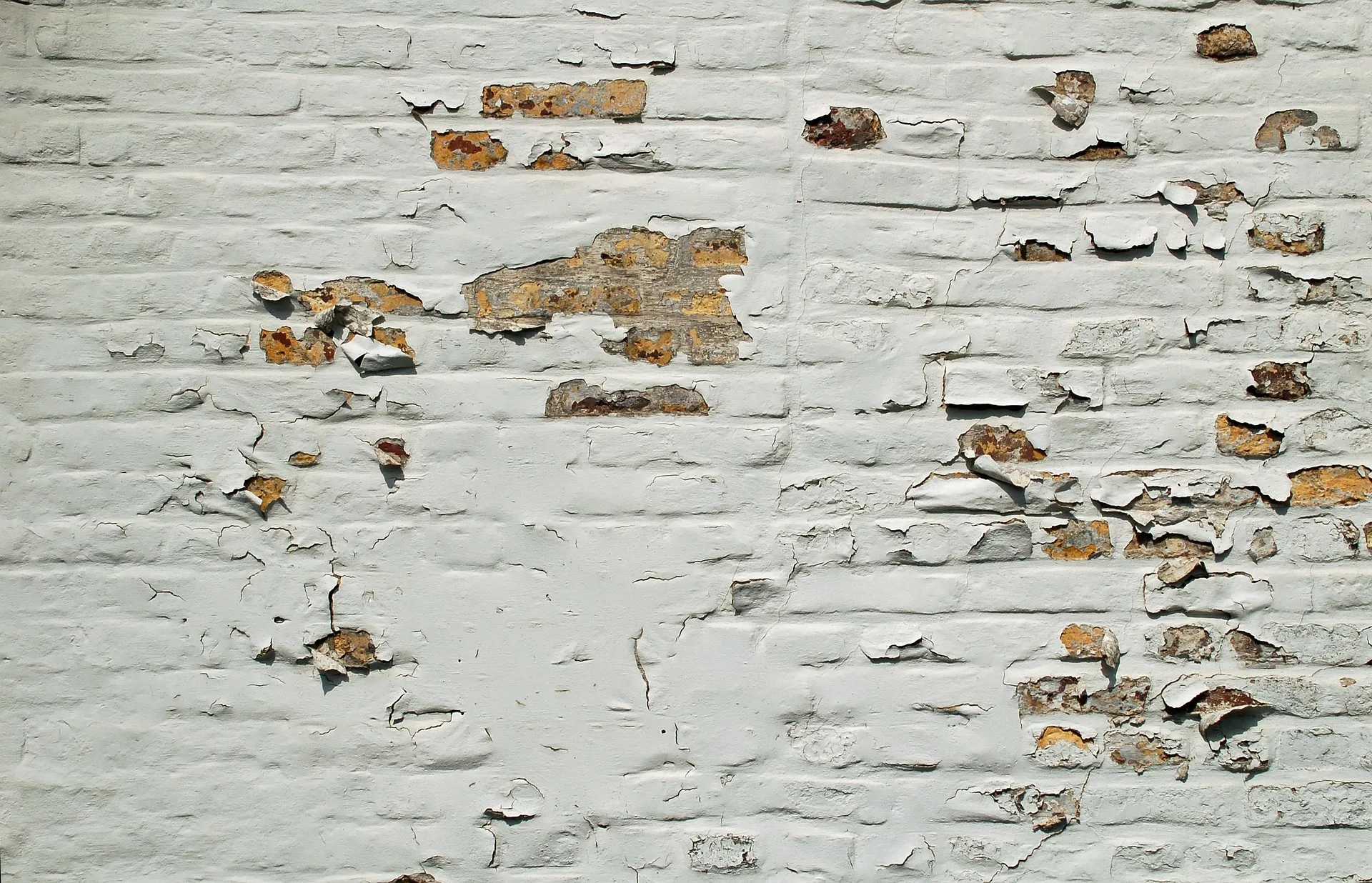 Peeling and Bubbling Paint